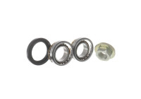 Wheel bearing VKBA 3666 SKF