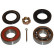Wheel bearing WBK-8006 Kavo parts