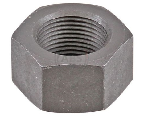 Wheel hub nut