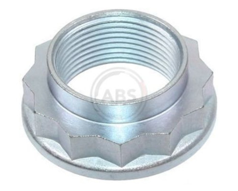 wheel hub nut