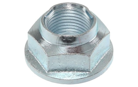 wheel hub nut