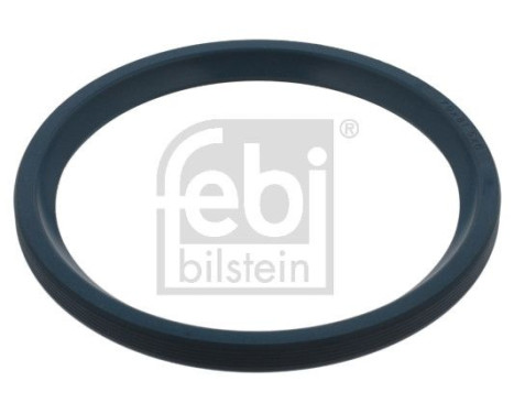 Oil seal, wheel bearing