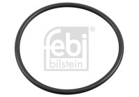 Sealing ring, wheel hub