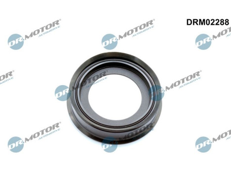 Sealing ring
