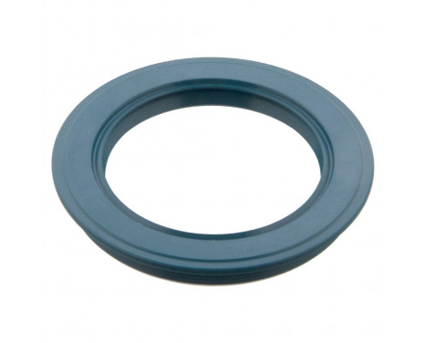 Shaft Seal, wheel bearing