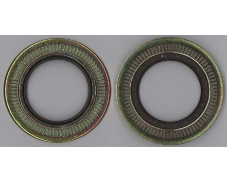 Shaft Seal, wheel hub Shaft Seal, wheel hub