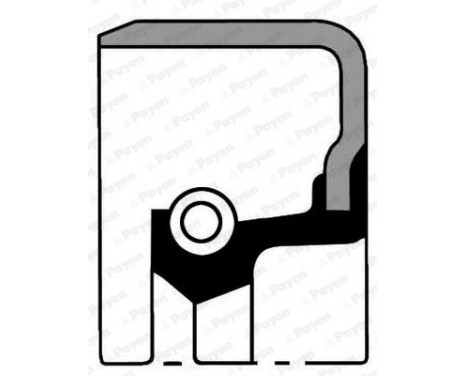 Shaft Seal, wheel hub Shaft Seal, wheel hub