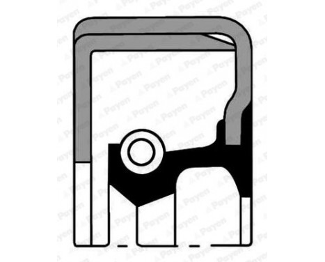 Shaft Seal, wheel hub Shaft Seal, wheel hub