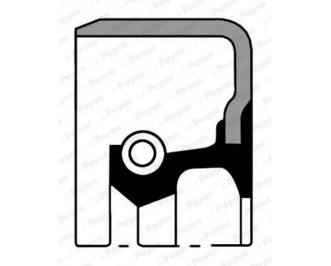 Shaft Seal, wheel hub Shaft Seal, wheel hub