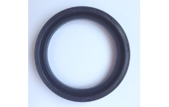 Shaft Seal, wheel hub