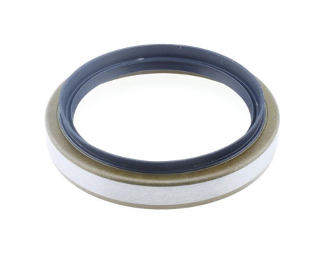 Shaft Seal, wheel hub