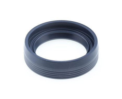 Shaft Seal, wheel hub