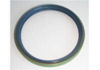 Shaft Seal, wheel hub