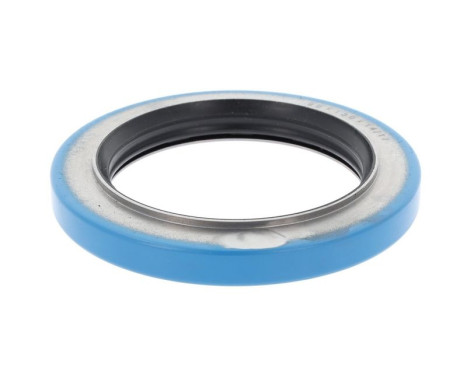 Shaft Seal, wheel hub