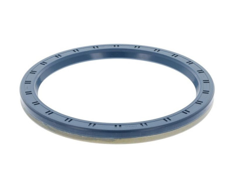 Shaft Seal, wheel hub