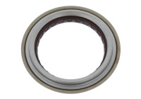 Shaft Seal, wheel hub