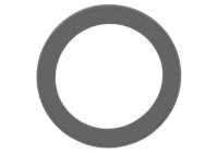 Shaft Seal, wheel hub