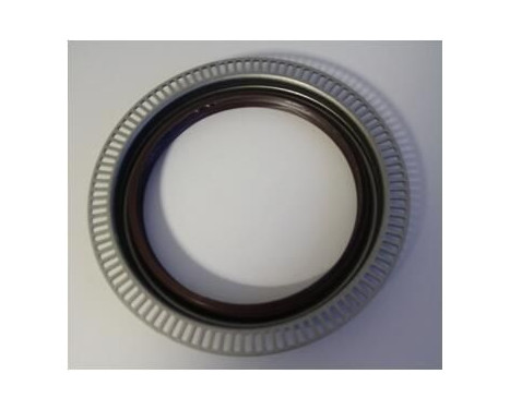 Shaft Seal, wheel hub