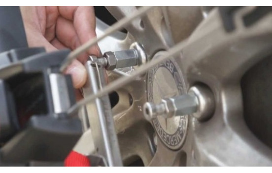 Spikes Spider Easy Sport 1, Image 3