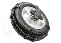 Spikes Spider Easy Sport 1