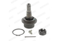 Ball Joint AMGK8695T Moog