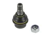 Ball joint L23A19 Monroe