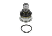 Ball Joint NI-BJ-4954 Moog