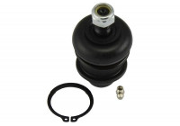 Ball Joint SBJ-3011 Kavo parts