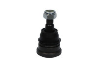 Ball joint SBJ-6558 Kavo parts
