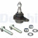 Ball Joint TC418 Delphi