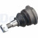 Ball joint TC5528 Delphi