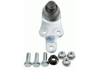 Ball Joint