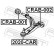 Ball Joint, Thumbnail 2