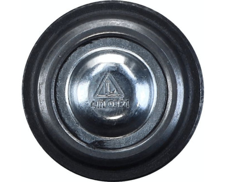 Ball Joint, Image 2