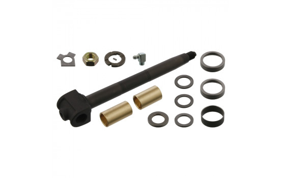 Repair Kit, kingpin 01124 FEBI