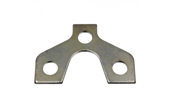 Securing Plate, ball joint 19569 FEBI