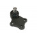 Ball Joint 220362 ABS