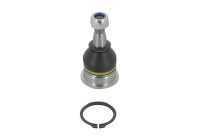 Ball Joint L13537 Monroe