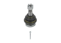 Ball Joint L14546 Monroe