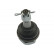 Ball Joint SBJ-6501 Kavo parts