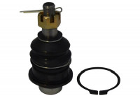 Ball Joint SBJ-6517 Kavo parts