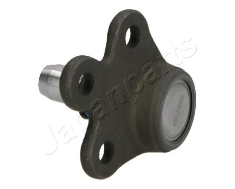 Ball Joint, Image 2