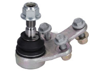 Ball joint