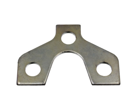 Securing Plate, ball joint 19569 FEBI