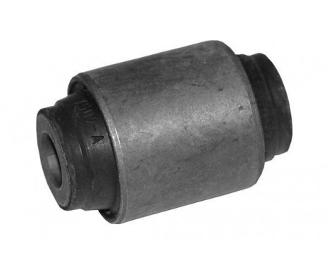 Control Arm-/Trailing Arm Bush 270075 ABS