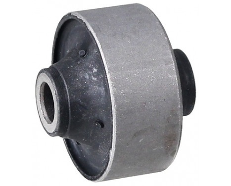 Control Arm-/Trailing Arm Bush 271573 ABS