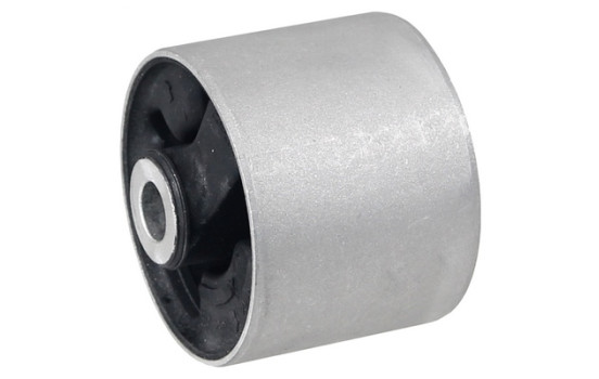 Control Arm-/Trailing Arm Bush 271575 ABS