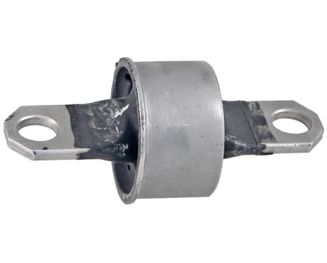 Control Arm-/Trailing Arm Bush 271599 ABS