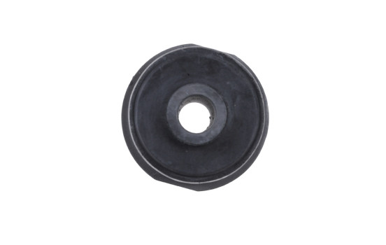 Control Arm-/Trailing Arm Bush ADA108024 Blue Print, Image 2