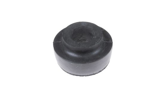Control Arm-/Trailing Arm Bush ADC480100 Blue Print, Image 2
